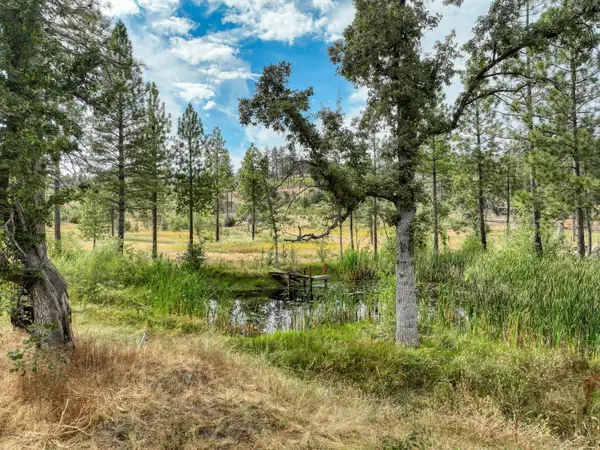 34344 Shaver Springs Road, Auberry, CA 93602
