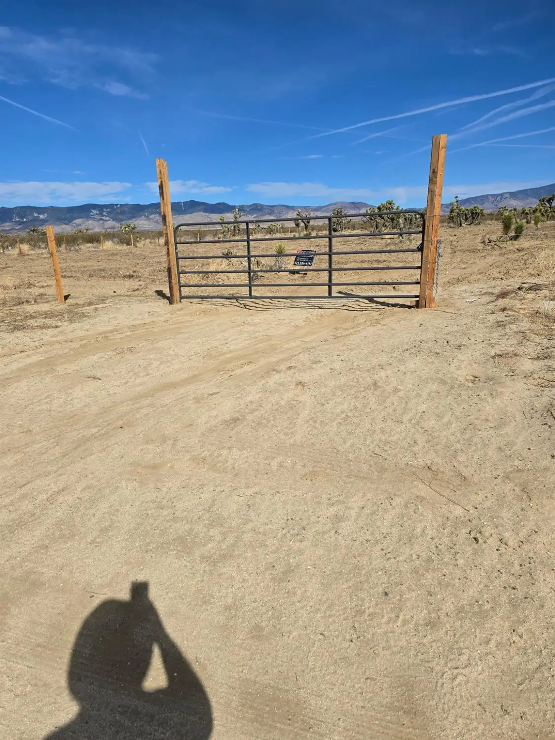1000 Gaskell Road, Rosamond, CA 93560 - #1