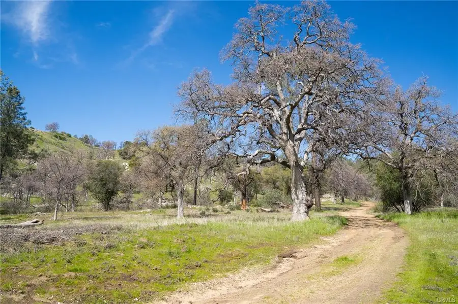 3831 Broncho Hollow Lane, Mariposa, CA 95338 - #3