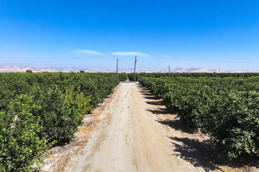 0 Avenue 424, Dinuba, CA 93618 - #3