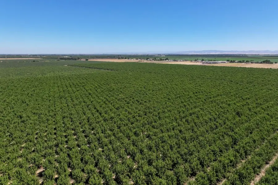 18190 Cooperopolis Road, Linden Farmington, CA 95236 - #3