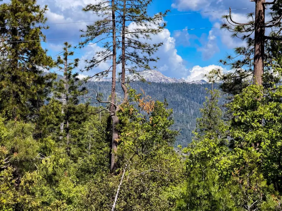 39420 Manzanita Drive, Oakhurst, CA 93644 - #3
