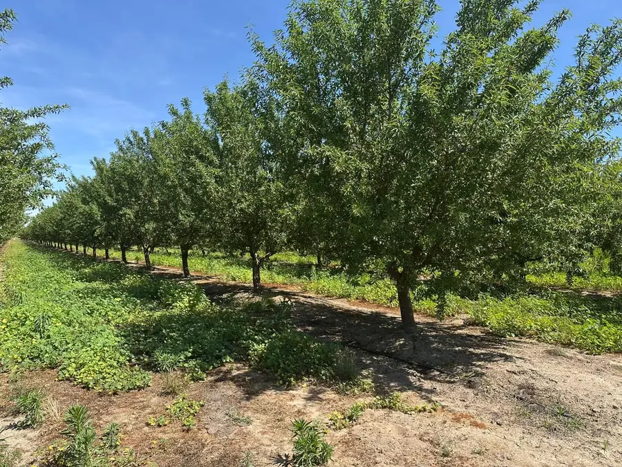 1 Rose Avenue, Selma, CA 93662 - #3