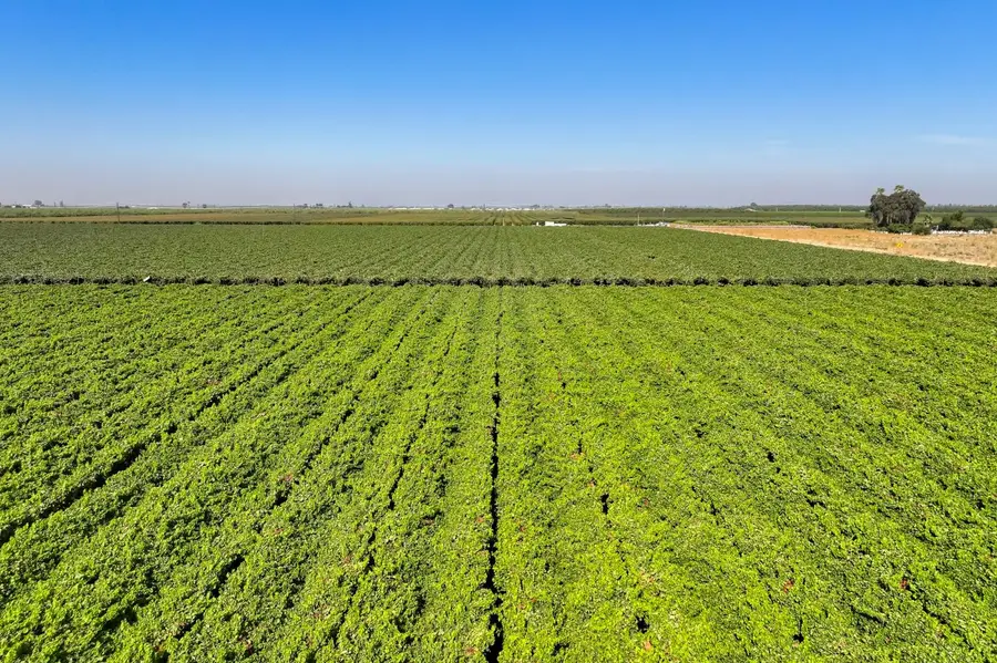 0 Road 88, Dinuba, CA 93618 - #3