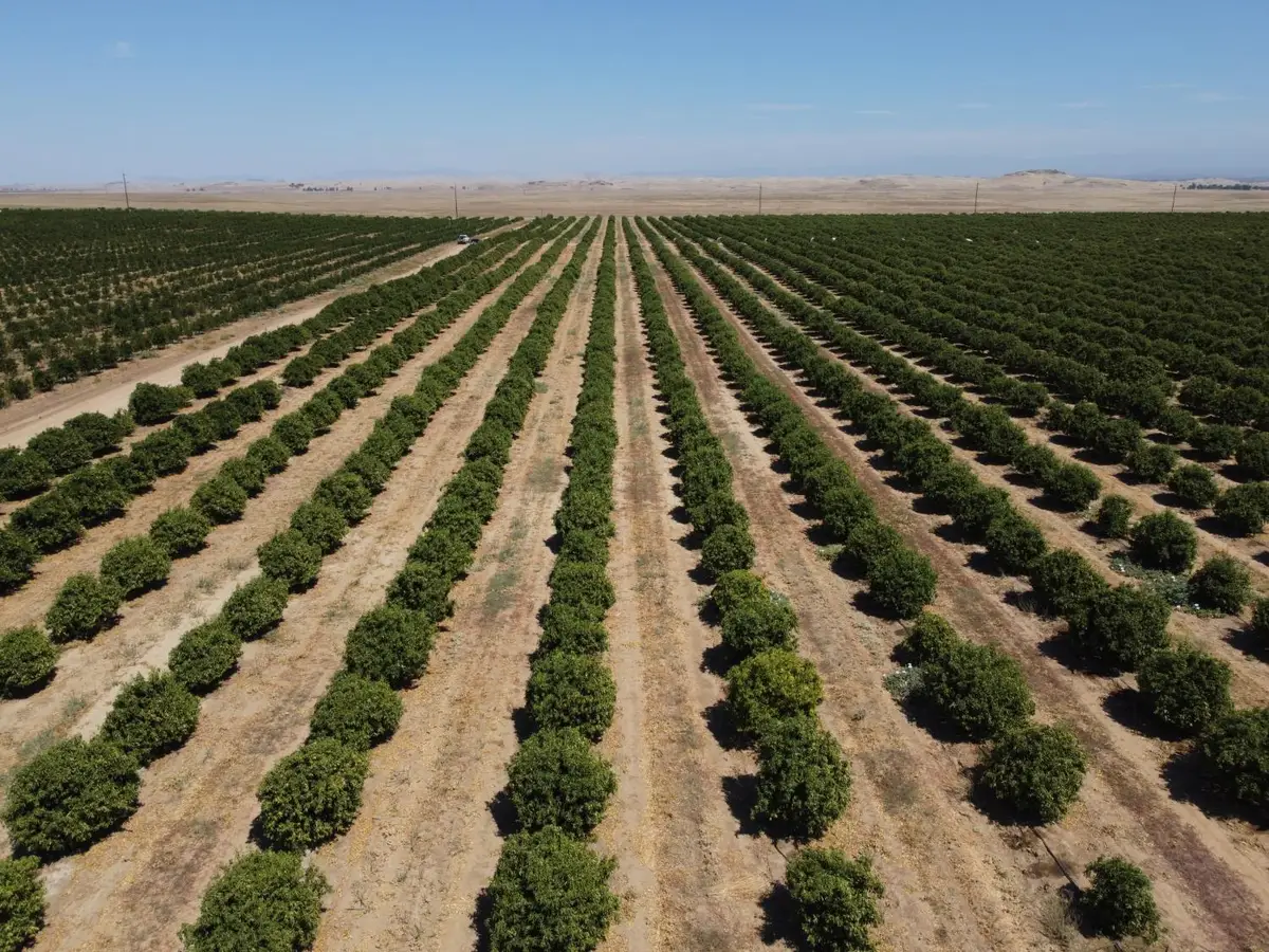 23762 Road 602, Madera, CA 93638 - #1