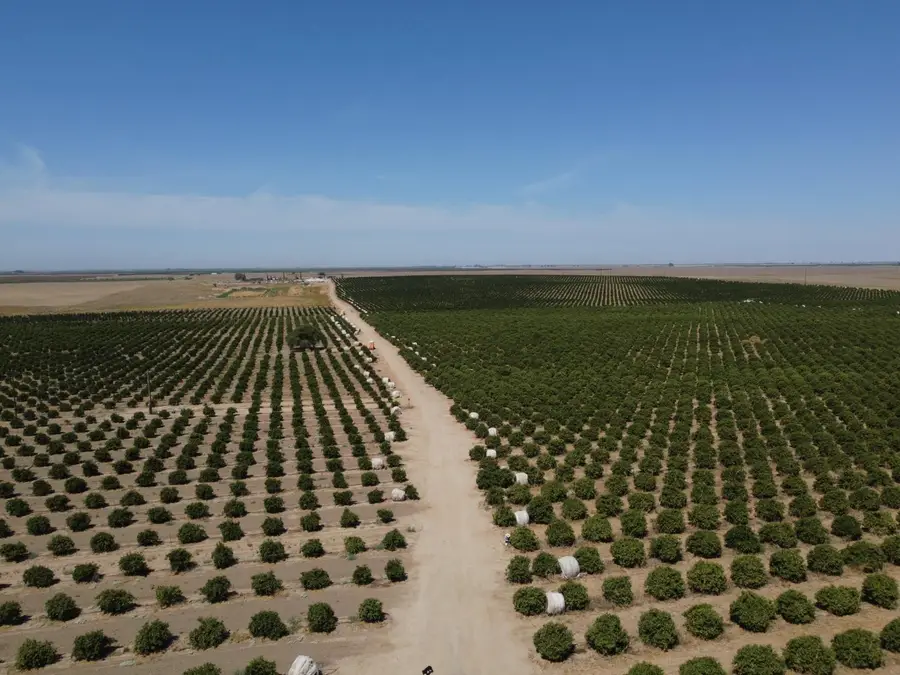 23762 Road 602, Madera, CA 93638 - #2