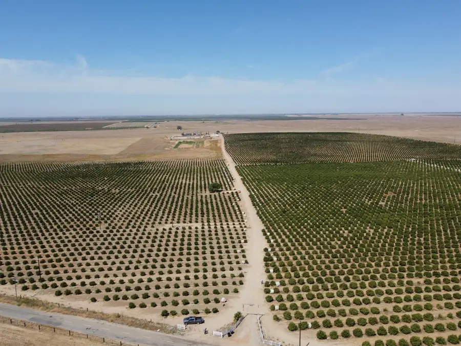 23762 Road 602, Madera, CA 93638 - #3