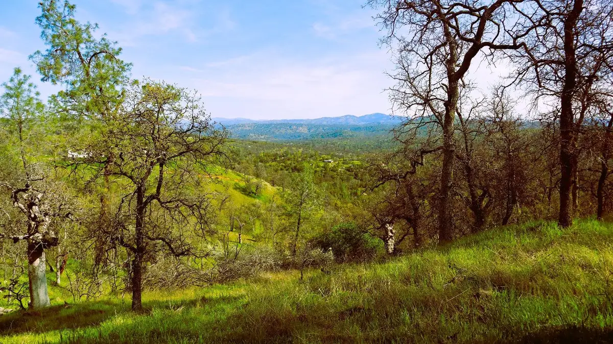 222 Big River Way, Coarsegold, CA 93614 - #1