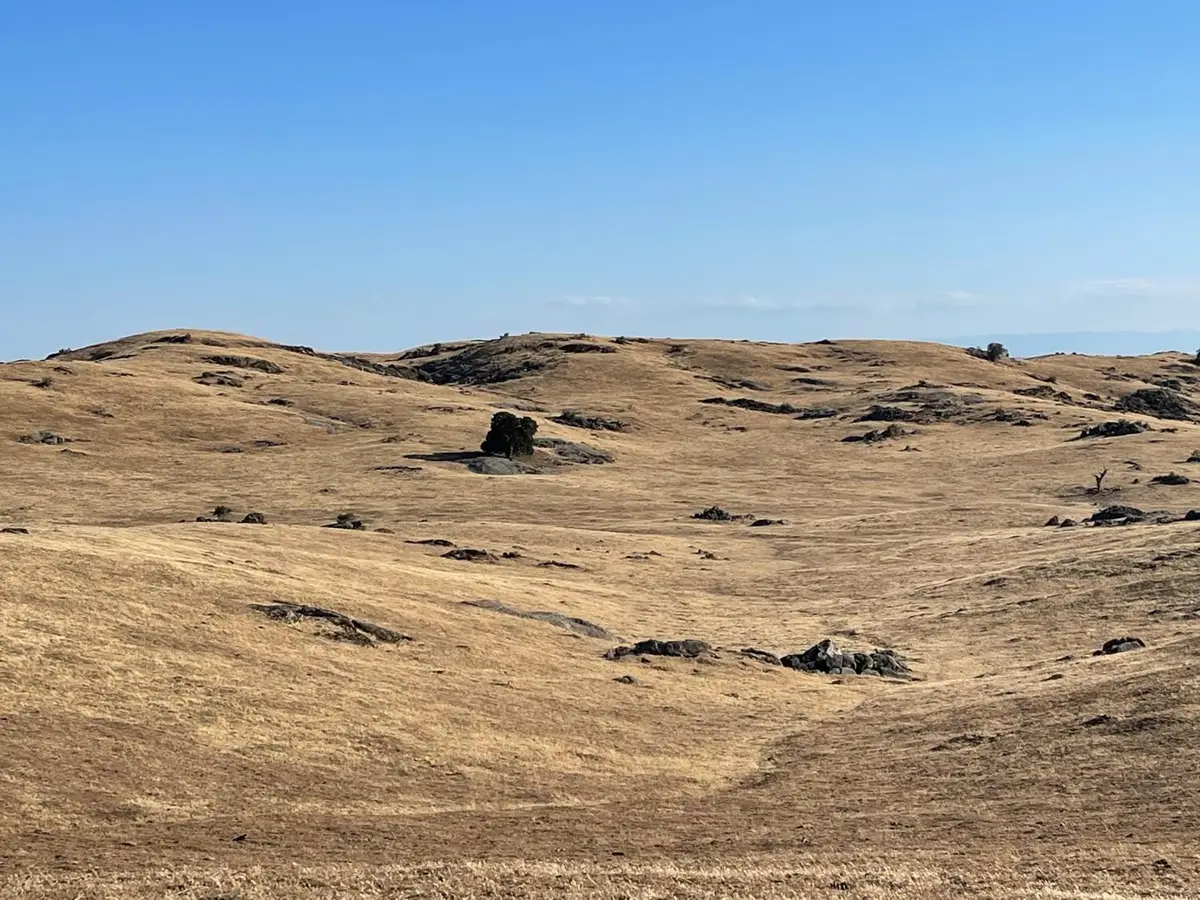 30 Hwy 41, Friant, CA 93644 - #1