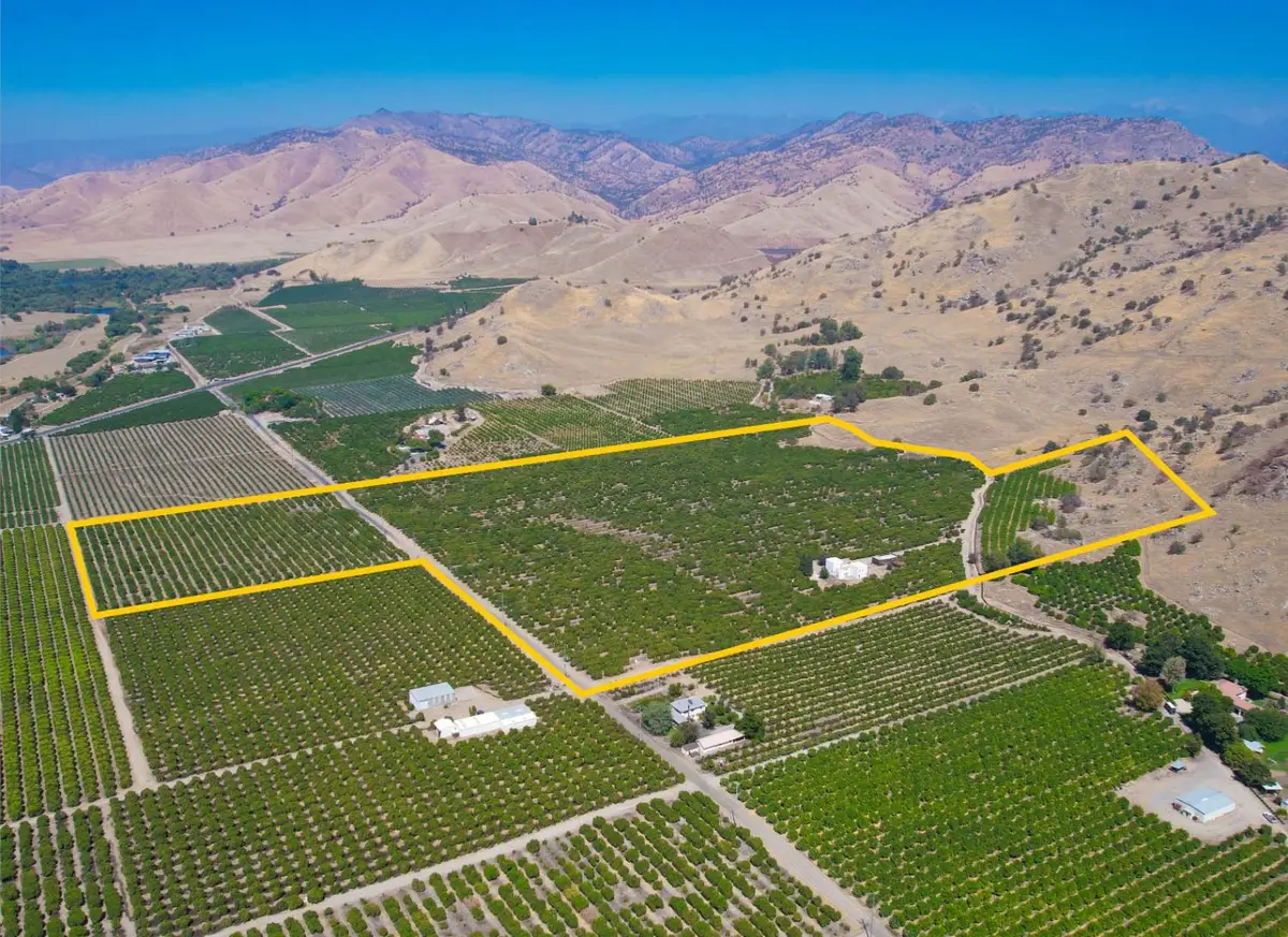 33204 Road 248, Lemon Cove, CA 93244 - #1