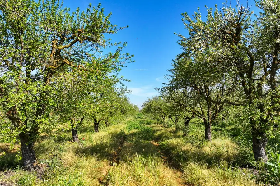 0 S Vista Avenue, Chowchilla, CA 93610 - #2