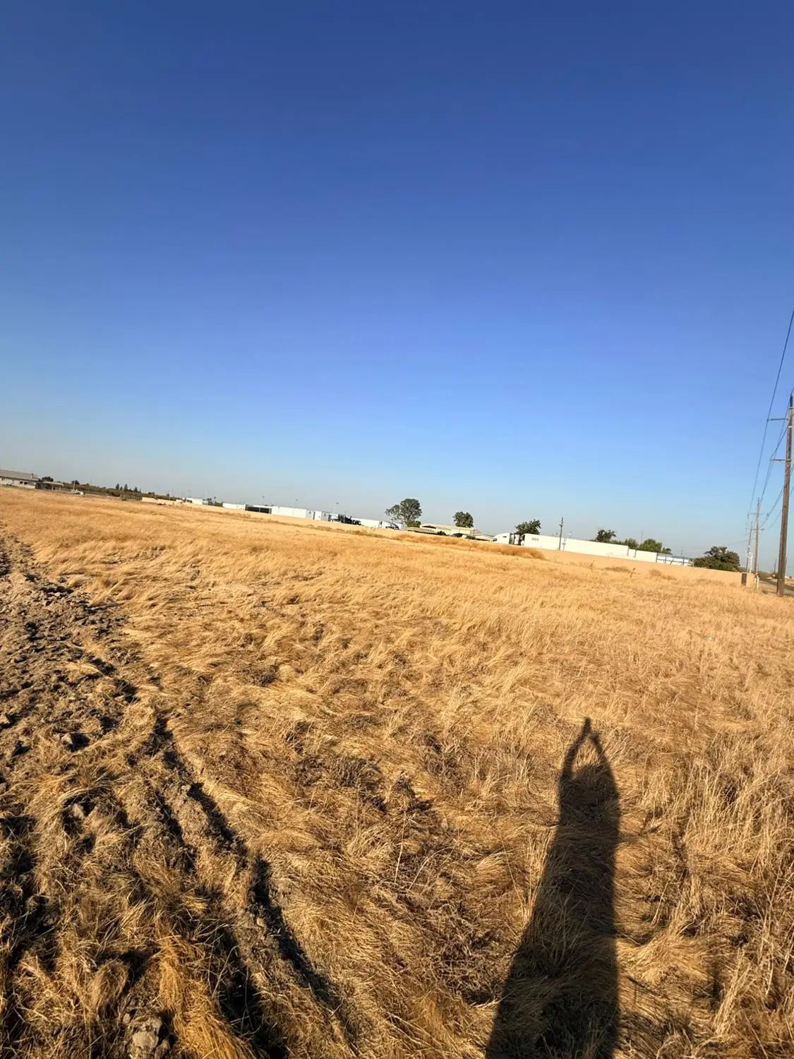 0 Annadale, Fresno, CA 93726 - #1