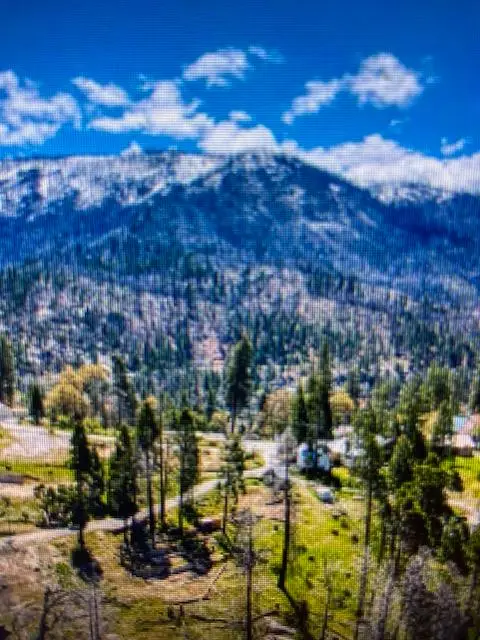 55277 Jungletown, Big Creek, CA 93605