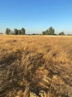 27624 E Avenue 17, Madera, CA 93638
