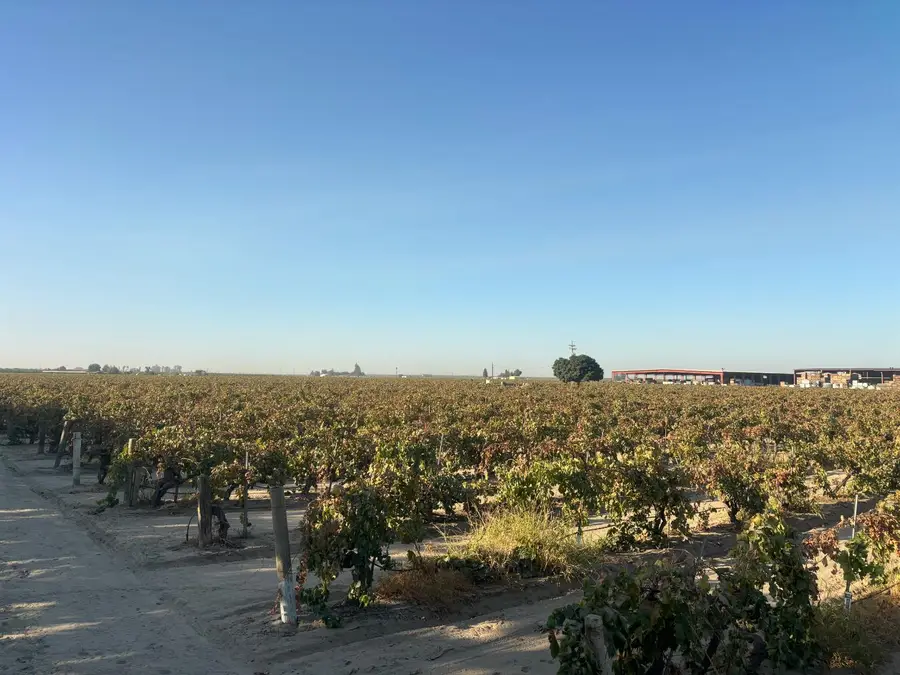3553 W. Saginaw Ave., Caruthers, CA 93609 - #3