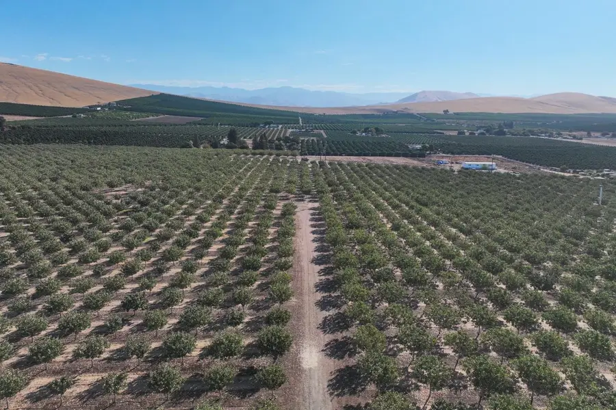 26954 Avenue 96, Terra Bella, CA 93270 - #3