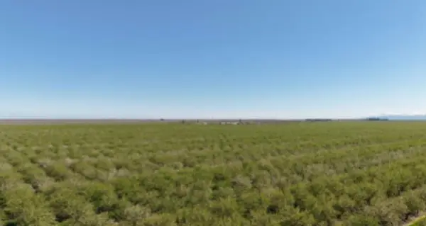 5519 Russell Ave, Firebaugh, CA 93622