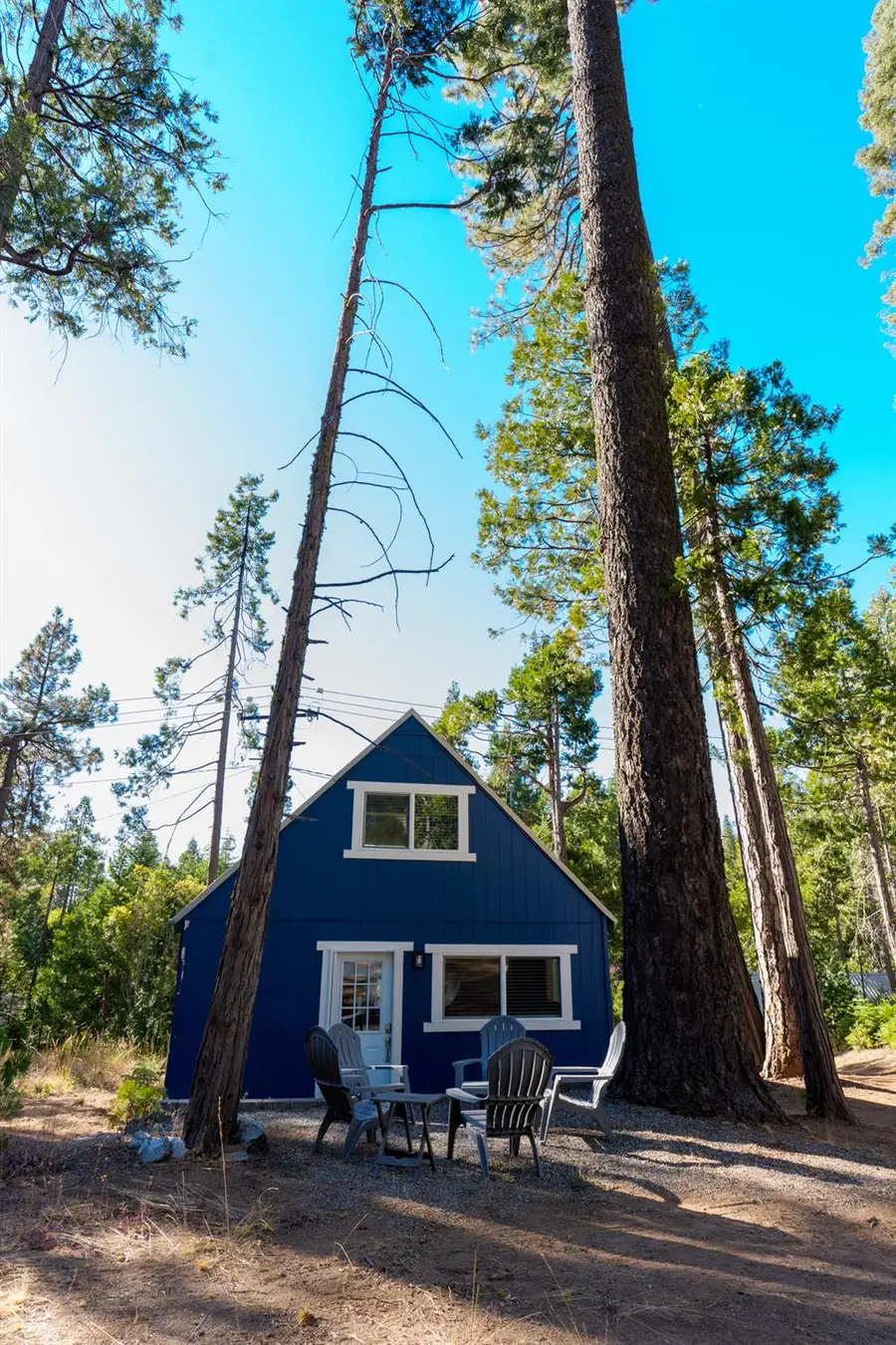 41392 Sunset Rock Road, Shaver Lake, CA 93664 - #2