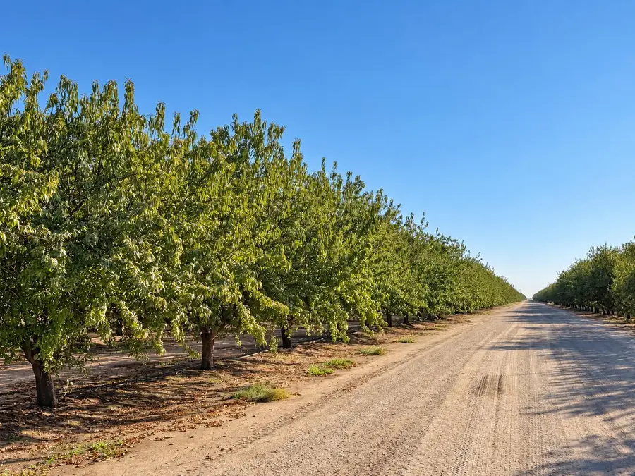 9701 Road 32, Madera, CA 93636 - #2