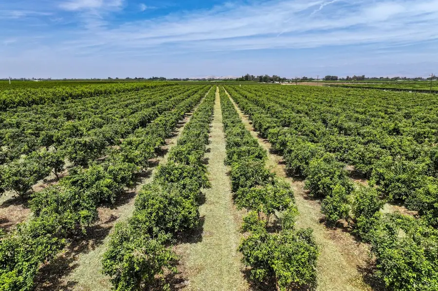 0 Road 176, Exeter, CA 93221 - Image #2