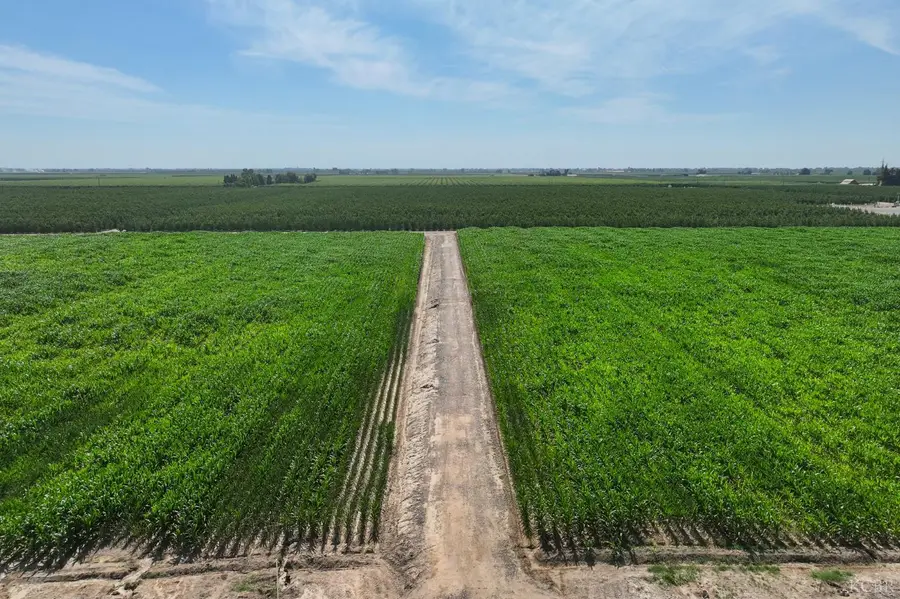 0 Elder Avenue, Hanford, CA 93230 - Image #2