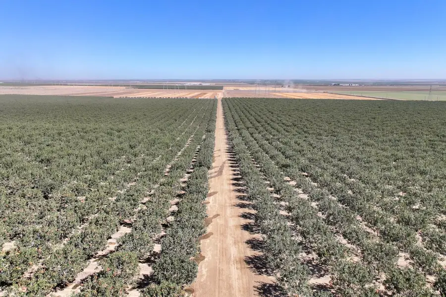 0 Quebec Avenue, Kettleman City, CA 93239 - Image #2