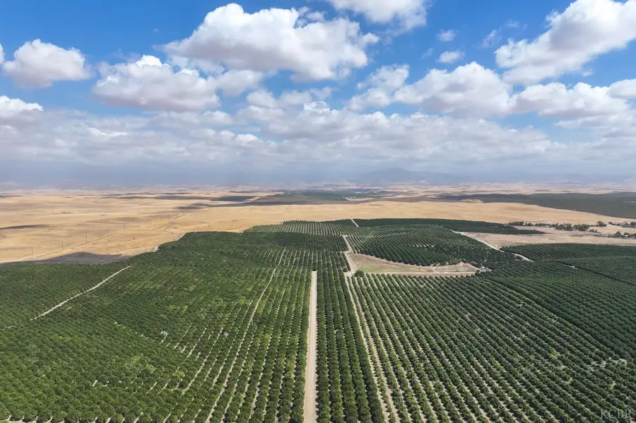 0 Avenue 2, Richgrove, CA 93261 - Image #3