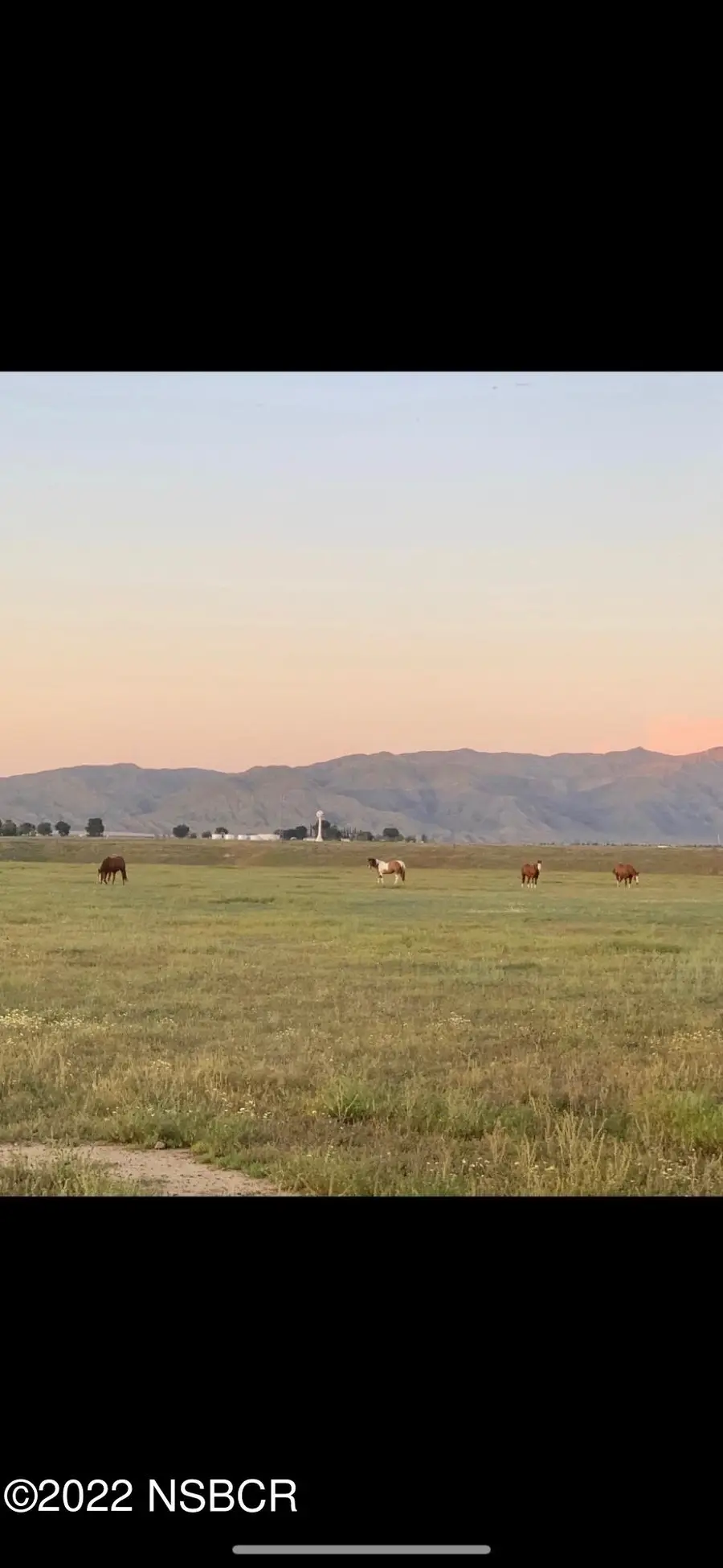 000 Perkins Road, New Cuyama, CA 93254 - #3