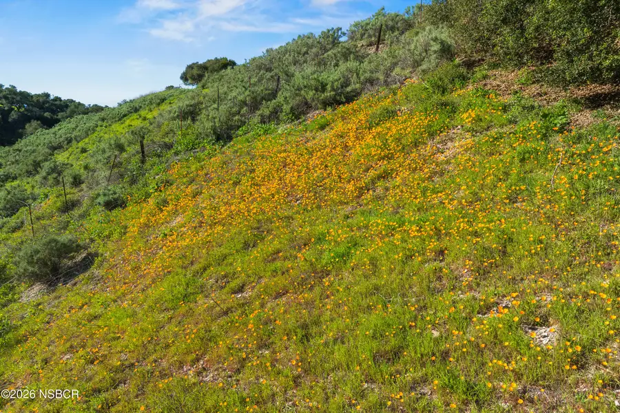 1817 Jonata Park Road, Buellton, CA 93427 - #2