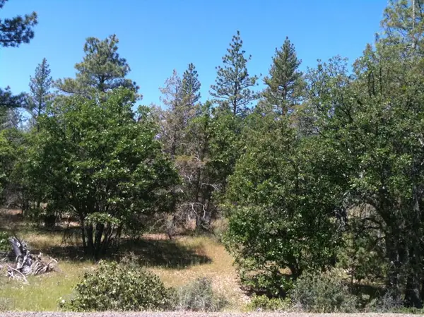 Address Withheld By Seller, Fall River Mills, CA 96028