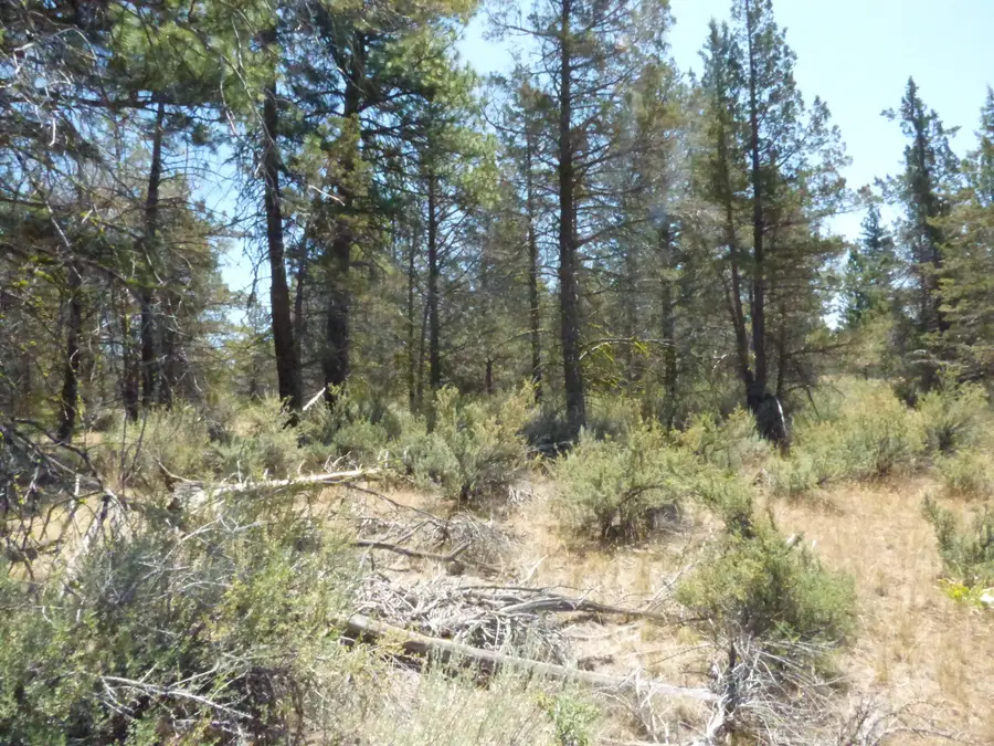 Widow Valley Rd, Lookout, CA 96054 - Image #3