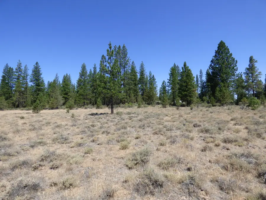 W Ponderosa Dr, Lookout, CA 96054 - Image #3