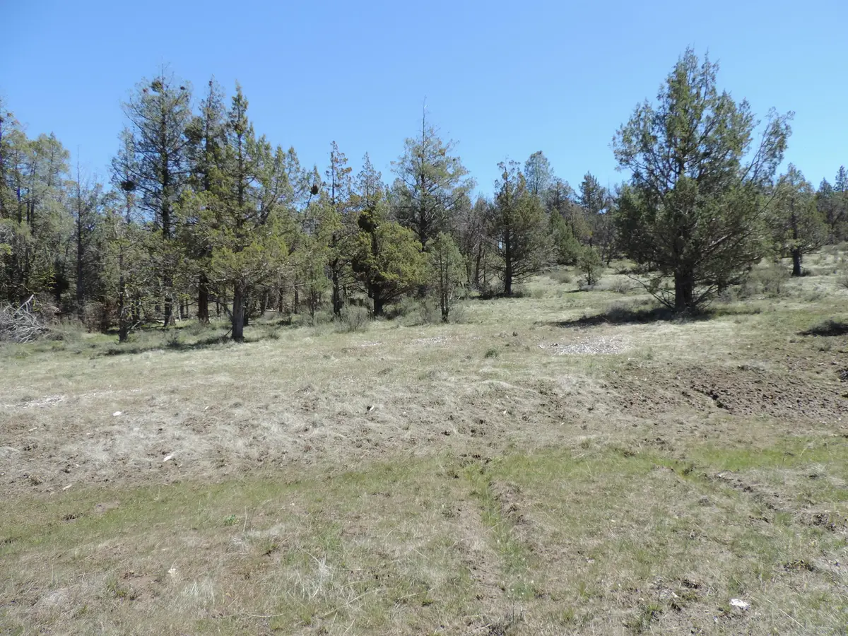 Lot 48 Natchez Court, Fall River Mills, CA 96028 - #1