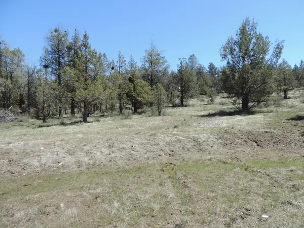 Lot 48 Natchez Court, Fall River Mills, CA 96028