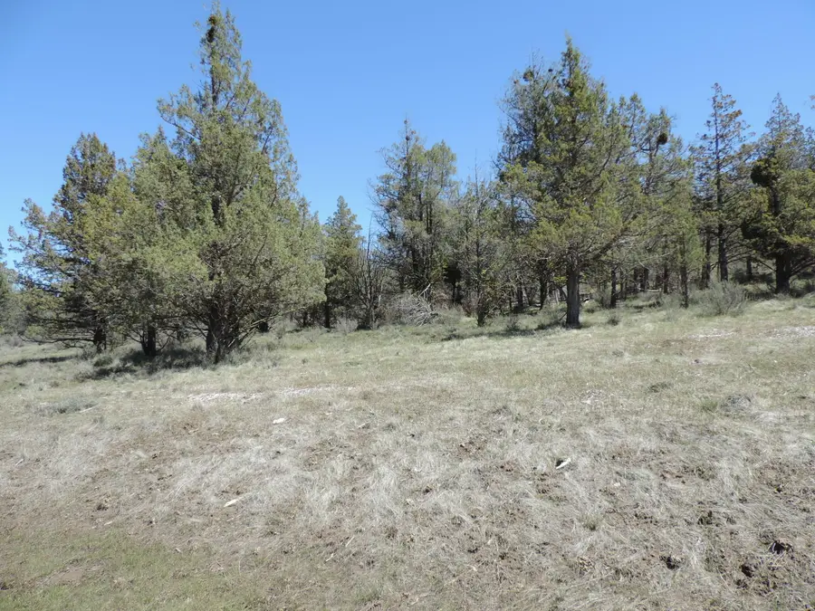 Lot 48 Natchez Court, Fall River Mills, CA 96028 - #2