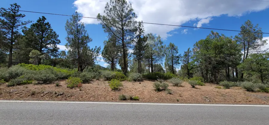 Lot 11 Cassel Fall River Road, Fall River Mills, CA 96028 - Image #3