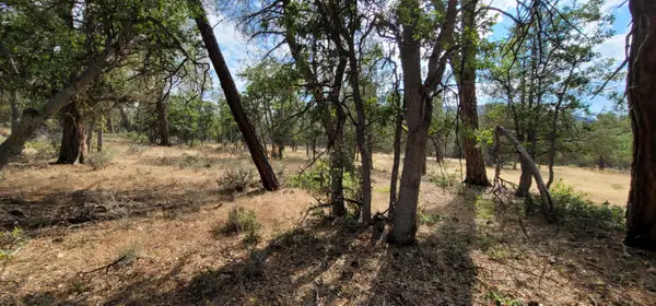 Lot 32 Shoshoni Loop, Fall River Mills, CA 96028