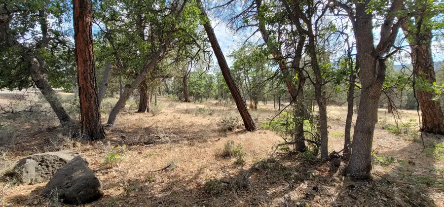 Lot 32 Shoshoni Loop, Fall River Mills, CA 96028 - #2
