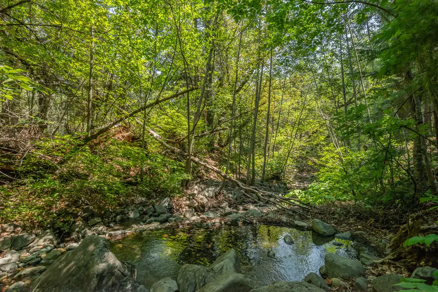 1371 Eagle Creek Loop Road, Trinity Center, CA 96091 - Image #3