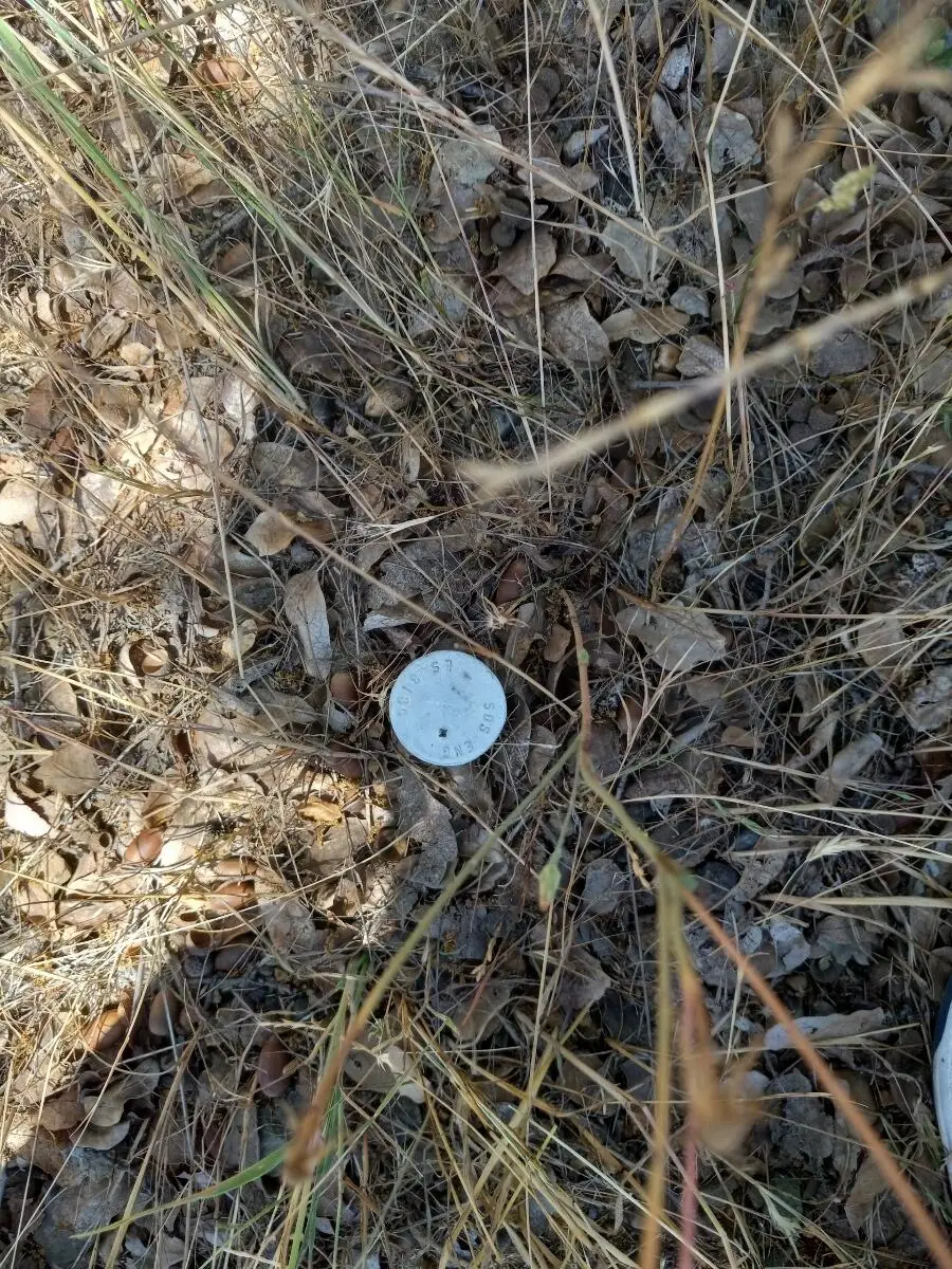 1026 Palisades, Redding, CA 96002 - Image #2