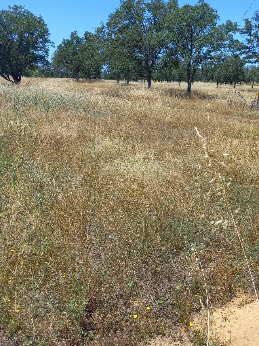 1026 Palisades, Redding, CA 96002 - Image #3