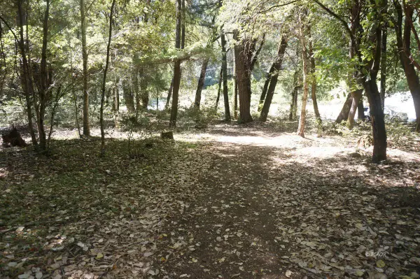 30 Suzy Q Rd, Burnt Ranch, CA 95527