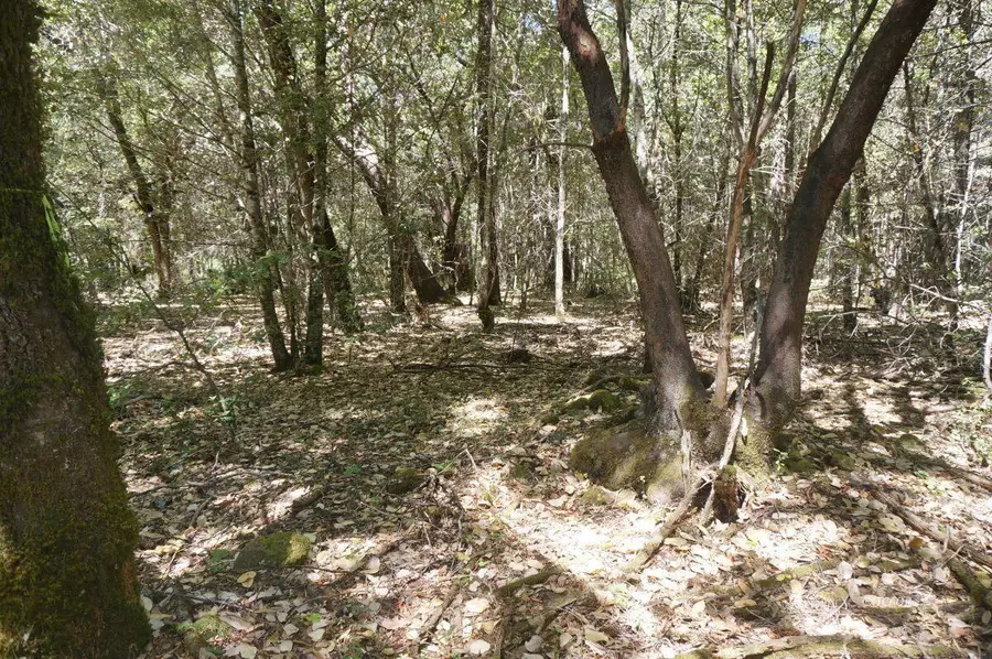 4271 Ca-299, Burnt Ranch, CA 95527 - Image #3