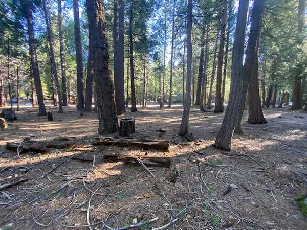 Douglas Fir Ct, Shingletown, CA 96088