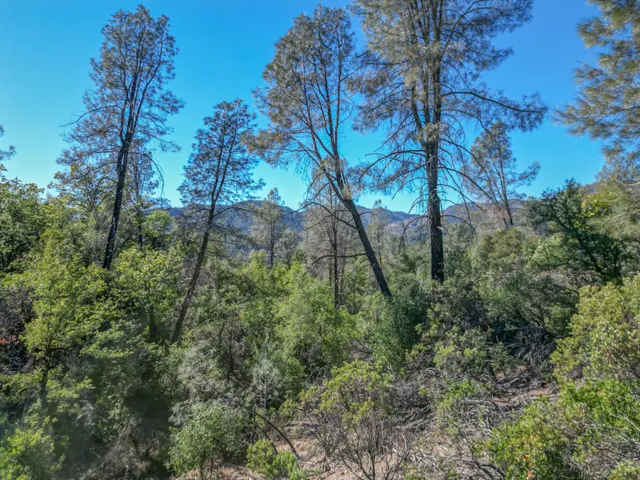 12694 Walker Mine Road, Redding, CA 96003 - Image #2