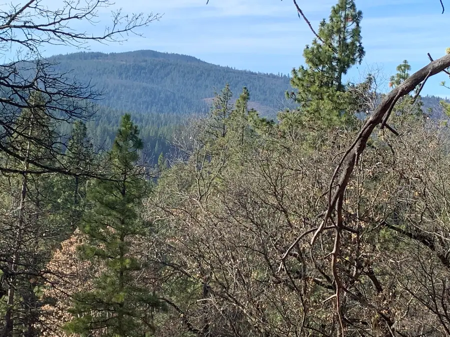 000 Highway 89, Burney, CA 96013 - #3