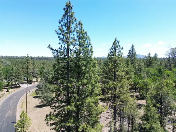 0000 Shoshoni Loop, Fall River Mills, CA 96028