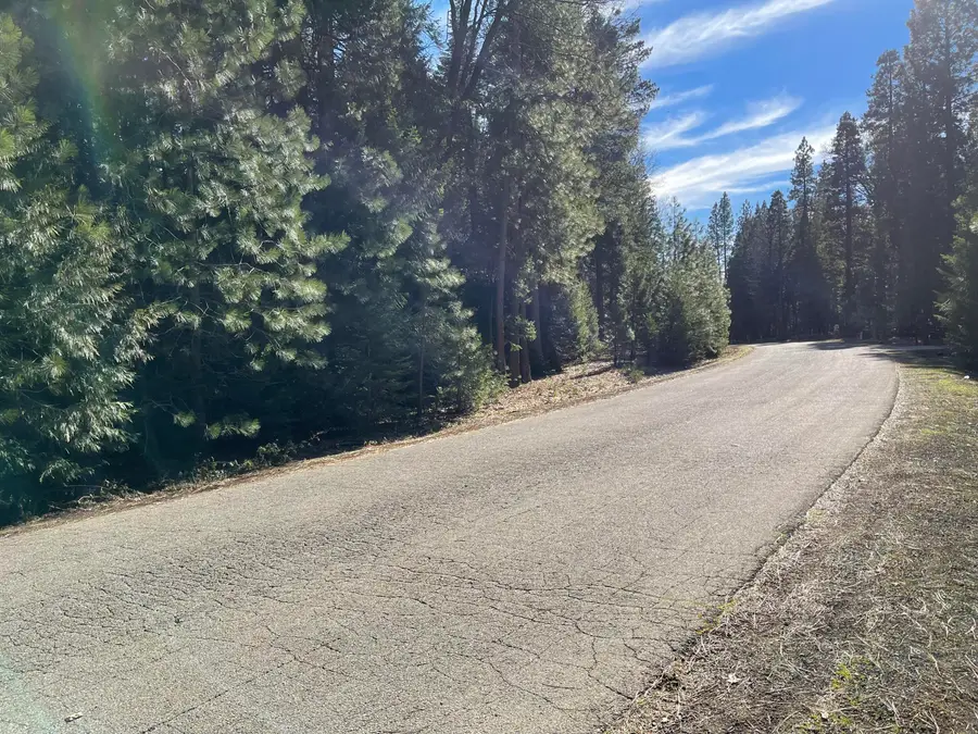 Emigrant Trail, Shingletown, CA 96088 - Image #3