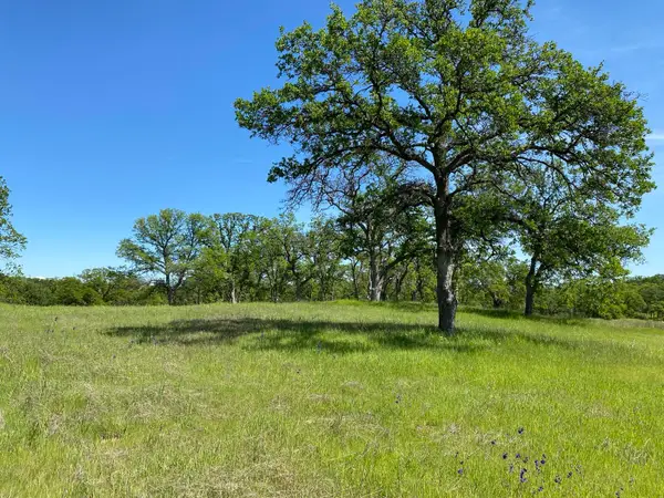 3.62 acres Deer Crest Trail, Cottonwood, CA 96022