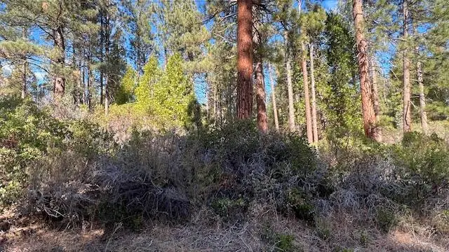 Circle Drive, Old Station, CA 96071 - Image #2